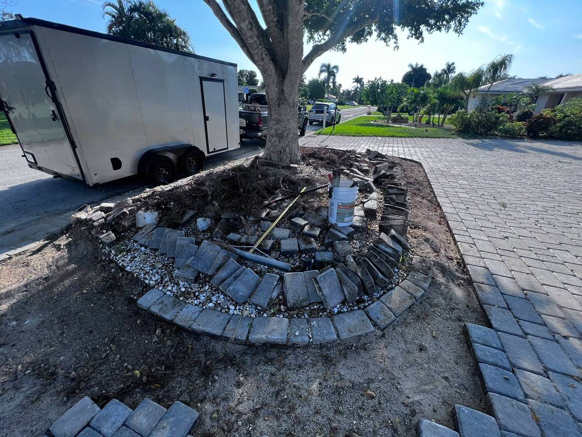 Tree-root damage repaired: paver repair & re-leveling by Paver Savers & Concrete